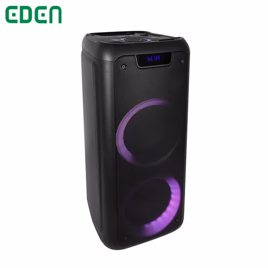 두 배 12 인치 나무로 되는 서브우퍼 DJ 노래방 Tws를 가진 휴대용 오디오 Bluetooth 당 스피커